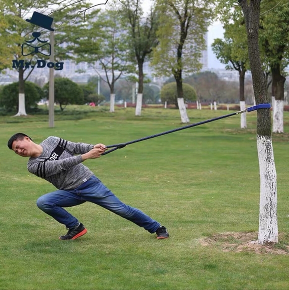 Heavy-duty large dog leash with coller sets. - Picture 4 of 5